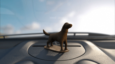 190217 BOBBLEHEADS Comp DOGGO Test H264