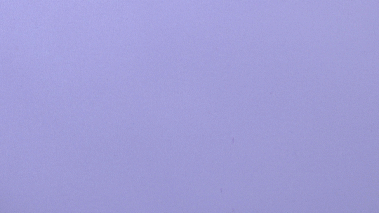 SH06