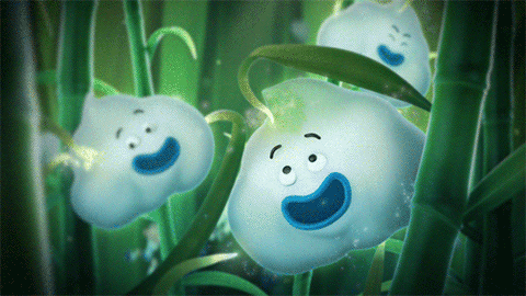 Safeguard Pao Paos